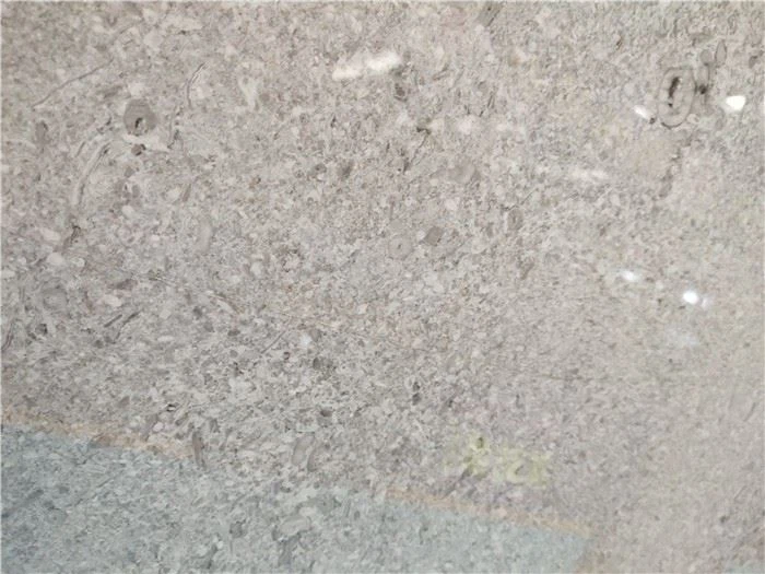 Grey Limestone Paving Slab
